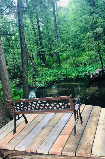 Quiet acre lot with cozy creek cabin & bathhouse - Image 1