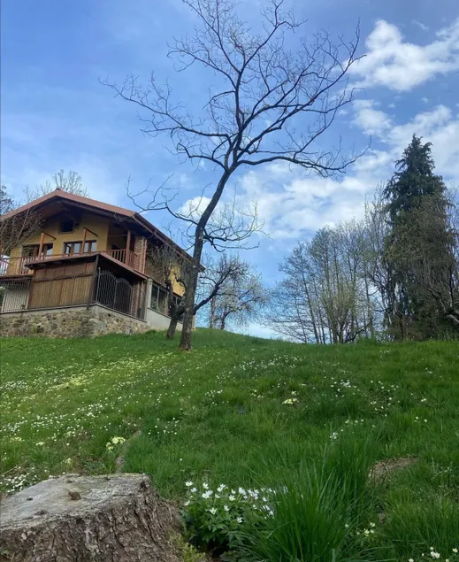 Daisy's nocciòlo - Image 1