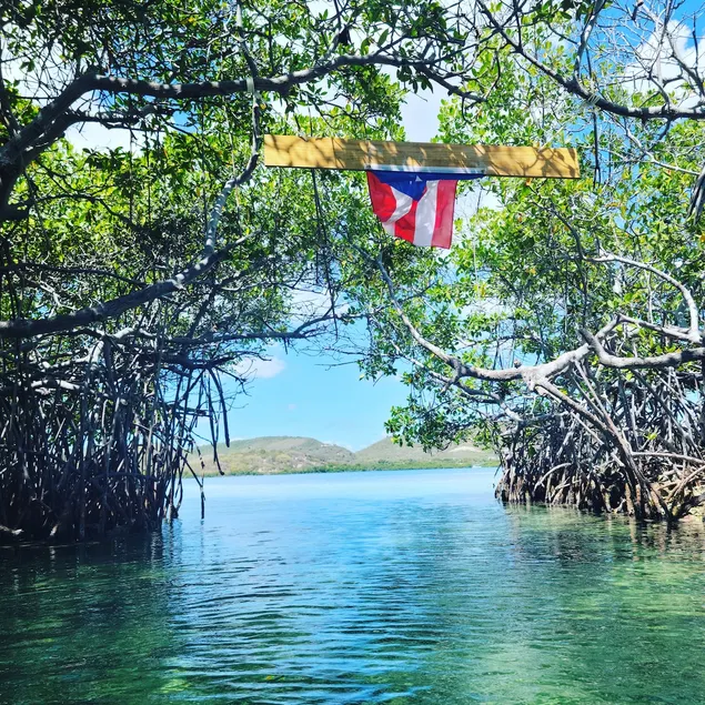 High Tide Guesthouse, Parguera - Image 1