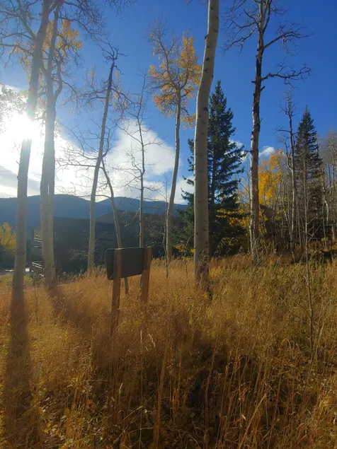 Aspen Leaf Retreat - Image 1