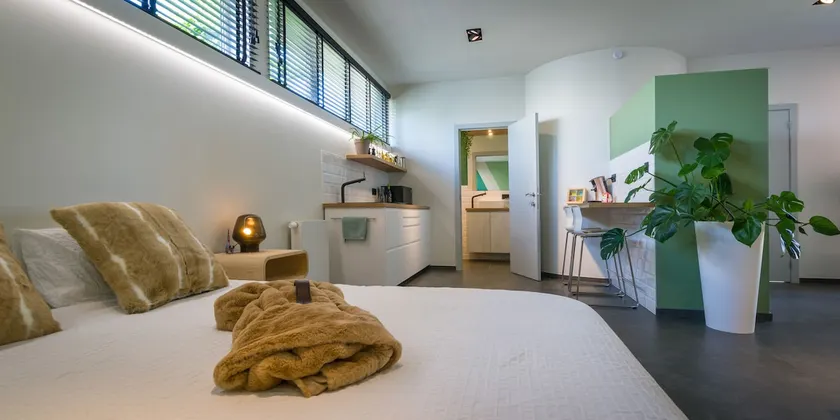 Spacious studio with private wellness - Image 1