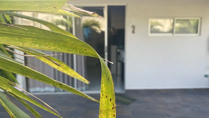Loft Stronger Spot - Image 1