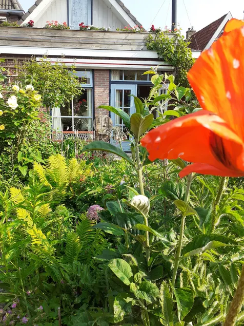 Cozy vacation cottage in Woudsend - Image 1