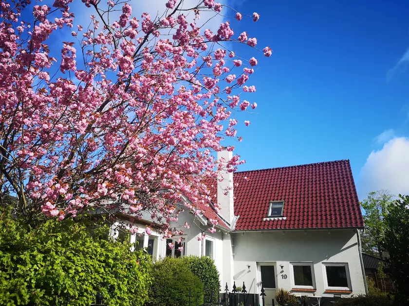 Wonderful villa with free parking and views - Image 1