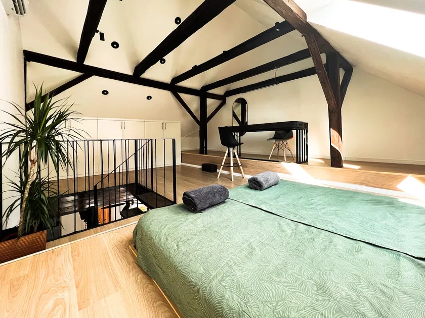 Unique spacious loft in the heart of Petrovaradin - Image 1
