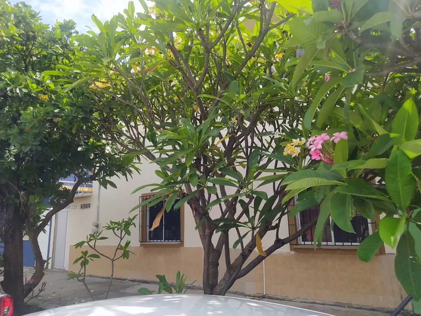 Beautiful house with a shared patio - 1. - Image 1