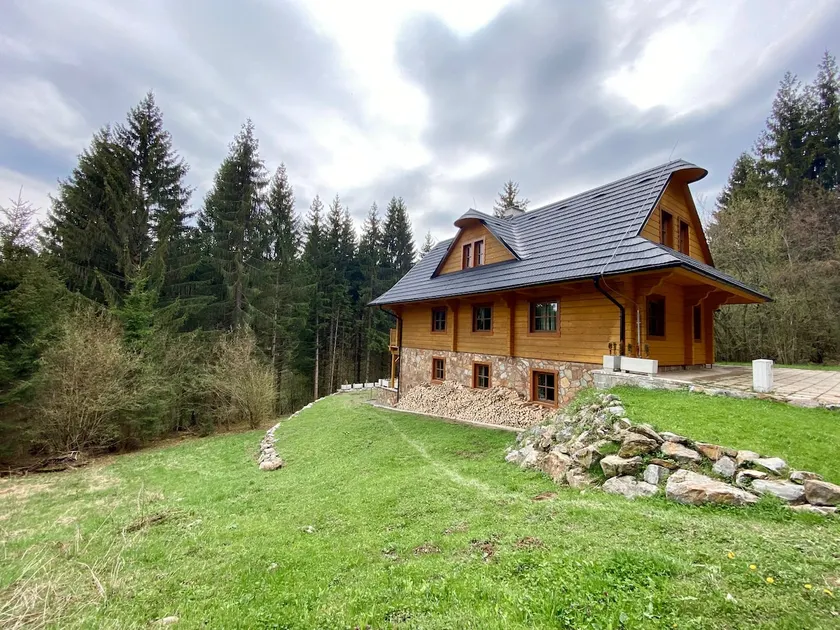 Wellness Chalet Tale with pool table - Image 1