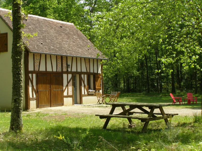 Small cottage in the clearing - Image 1
