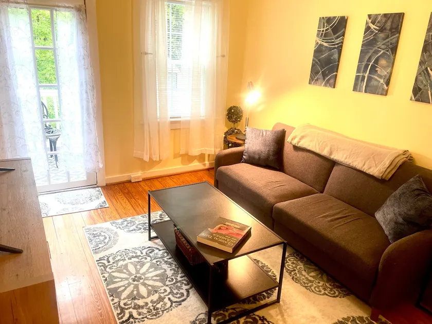 CARYTOWN CHARMER / Cute Luxury Condo - Image 1