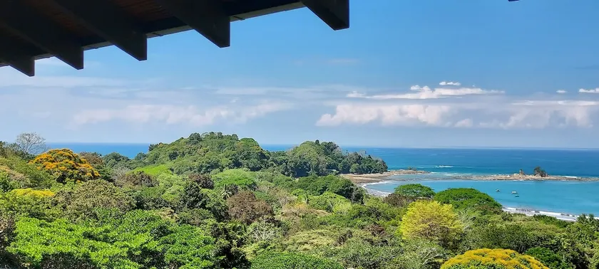 Penthouse: panoramic view of ocean and jungle - Image 1