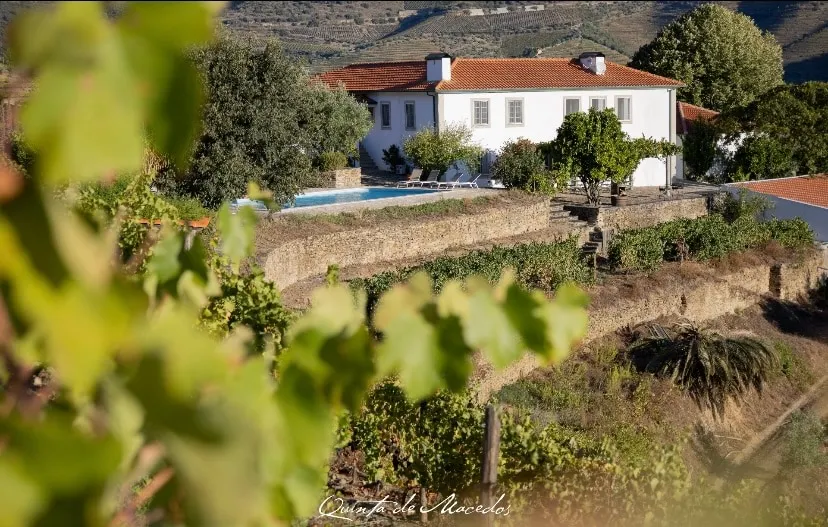 Stunning Boutique Vineyard Stay with Pool - Image 1