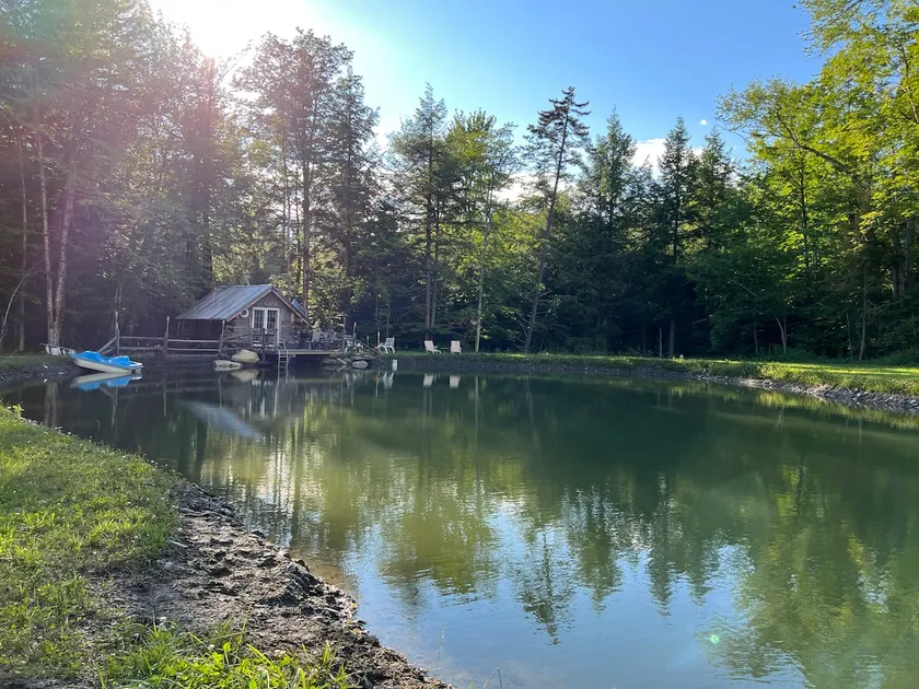 The Cabin on the Pond - Image 1