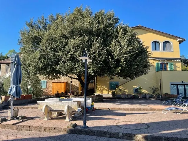 Idyllic Studio Suite among the olive trees - for couples - Image 1