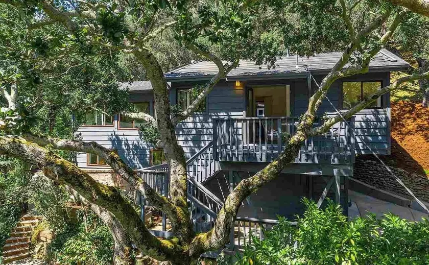 Treehouse retreat with deck in walkable Montclair - Image 1