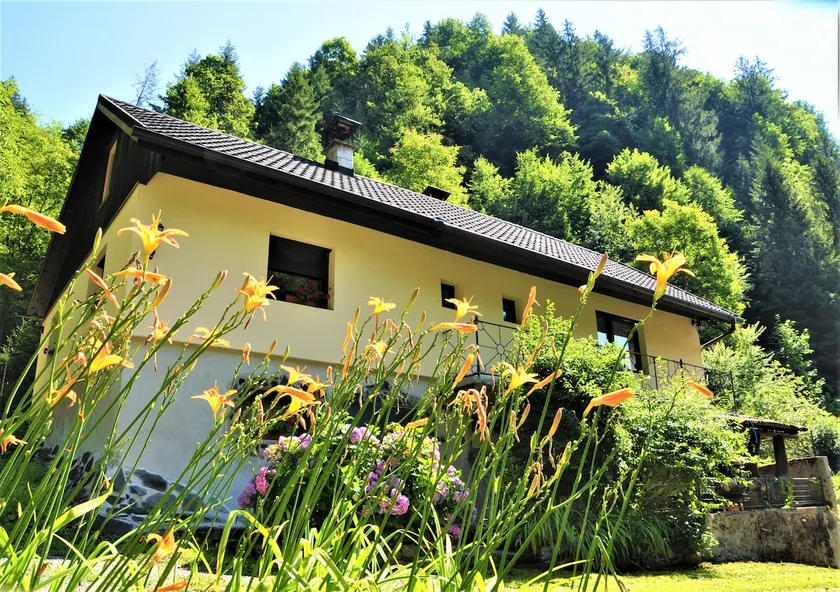 LINCA House near the Waterfall - Image 1