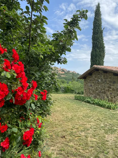 La casa dei caprioli appartamento in casale - Image 1