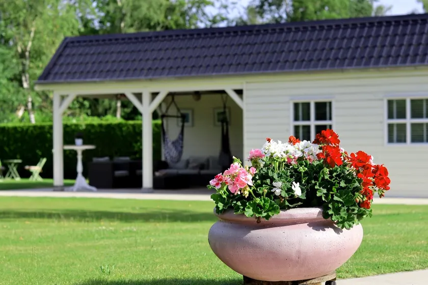 Eco chalet Epe - Image 1