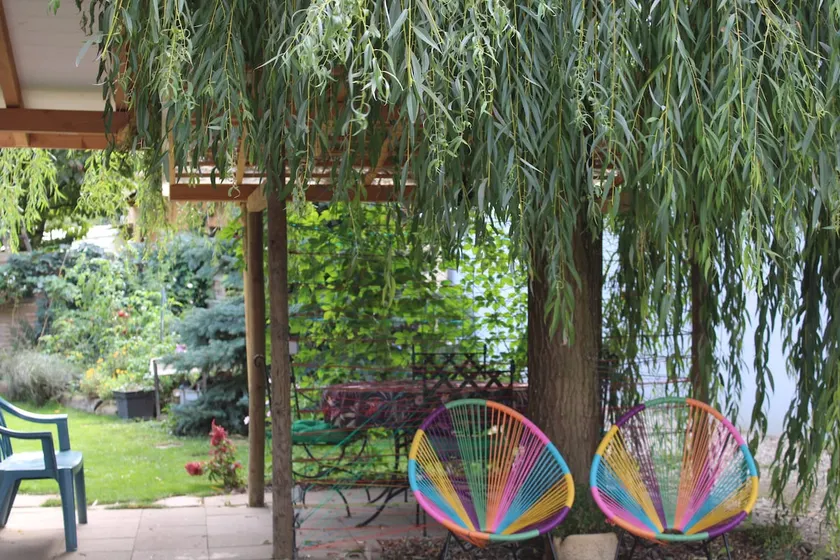 Lodge under the weeping willow - Image 1