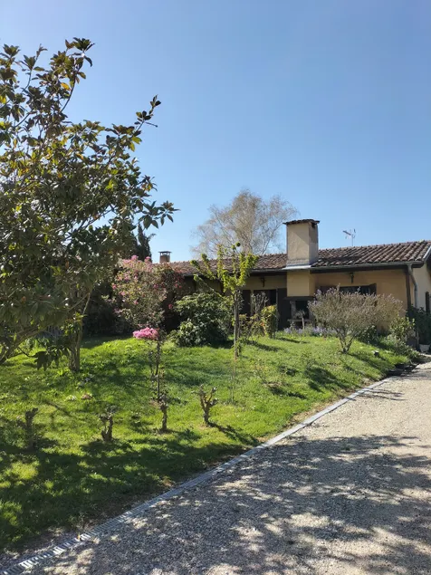 Flowery house - Image 1