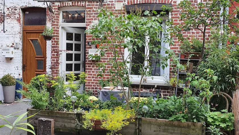 Two cosy homes, central location, quiet. - Image 1