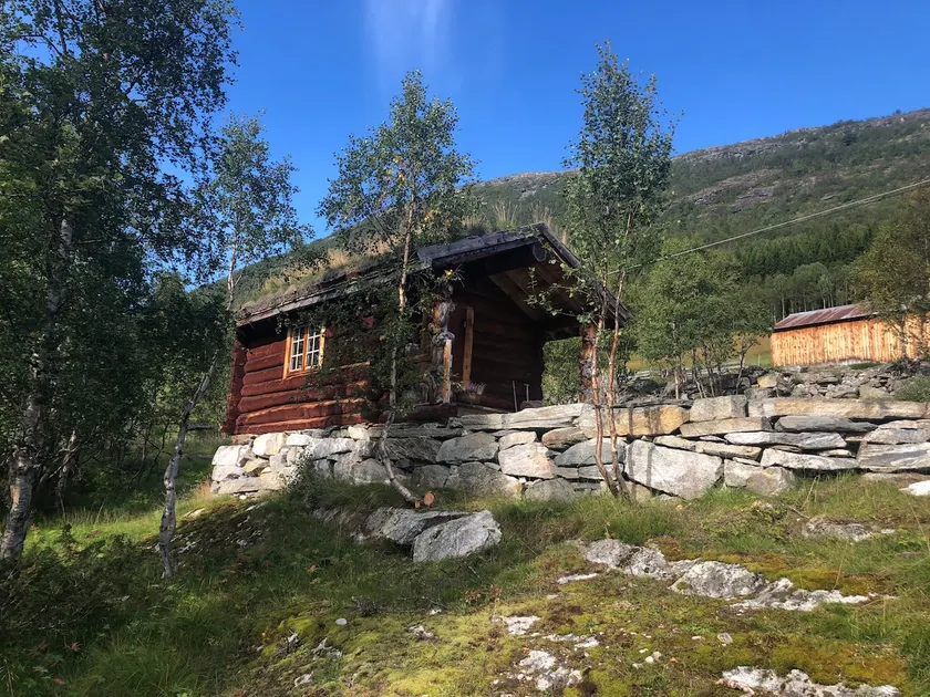 Koia - Image 1