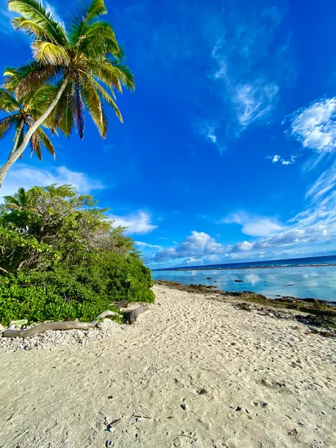 The Blue Pineapple Beach House - Image 1