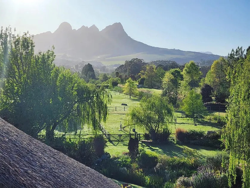 Thatch roof luxury Acara Guesthouse Solar off grid - Image 1
