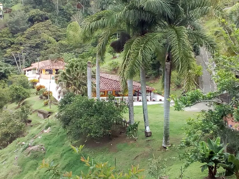 Finca Las Palmeras - Image 1