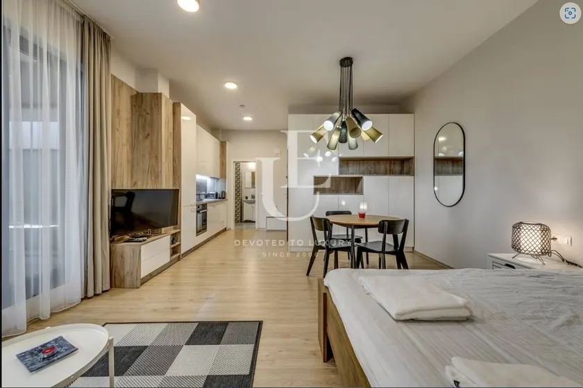 Geneva: A charming patio studio with private parking! - Image 1