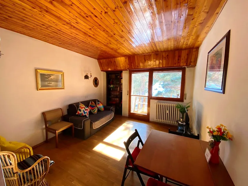 SKI SLOPES • Vintage Cottage - Image 1