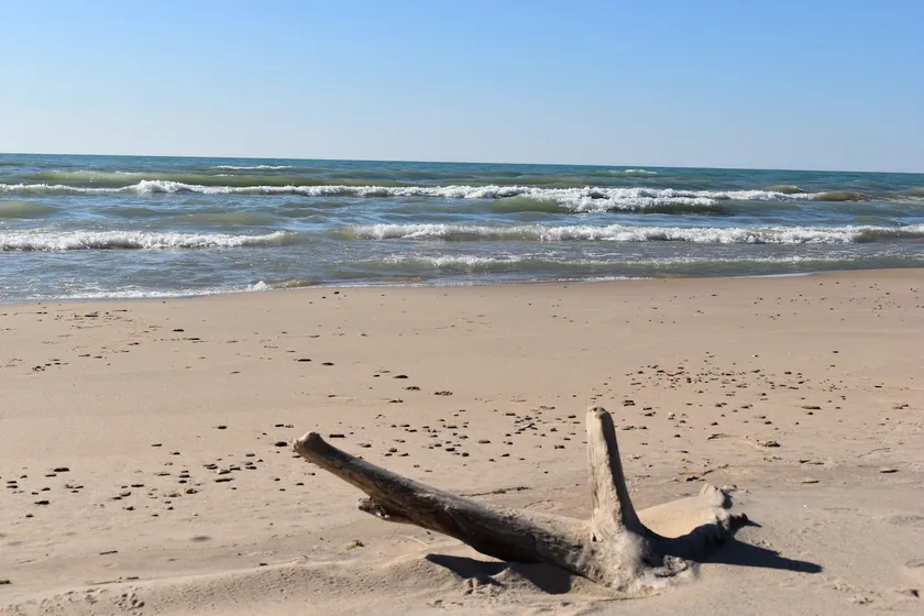 New listing! Lake MI access! - Image 1