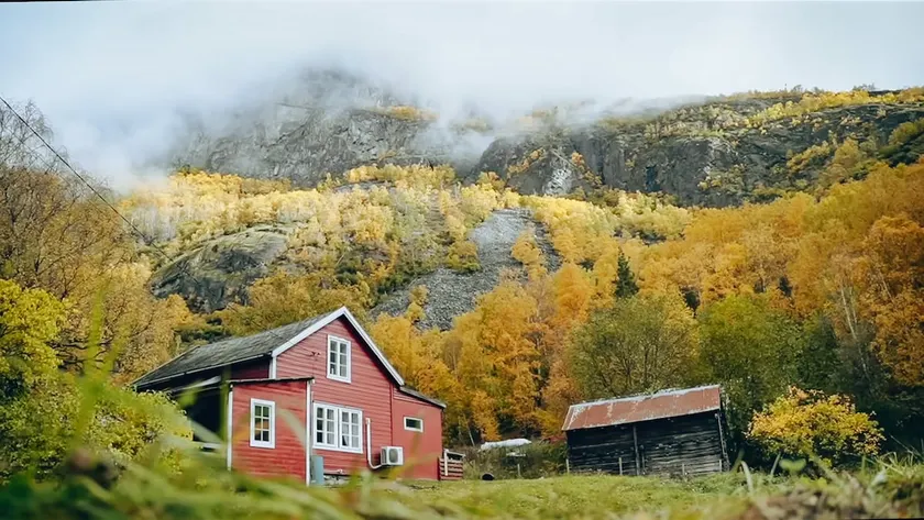 Cozy Cabin „Cherry“ - Image 1