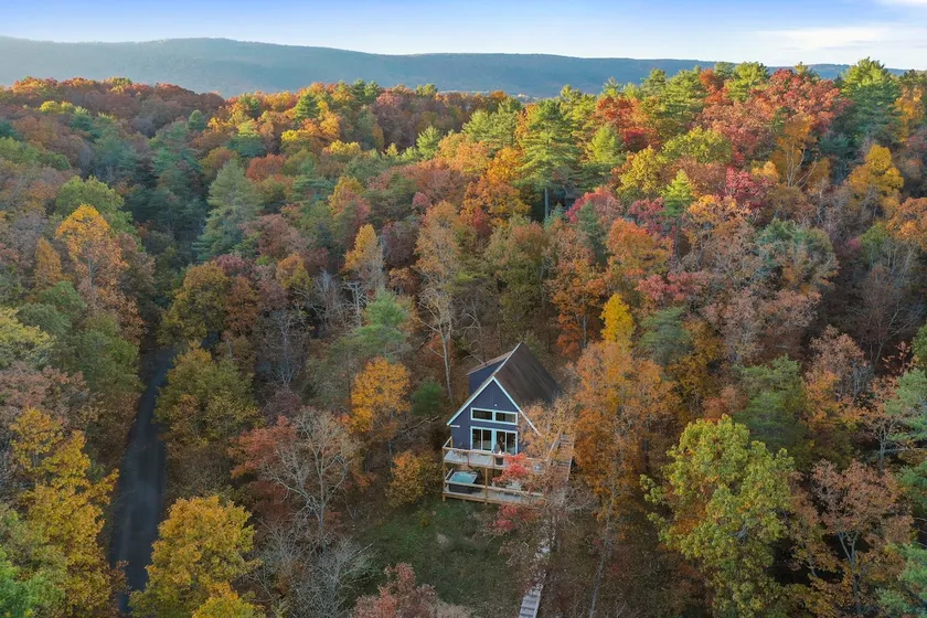Romantic Treetop Retreat: Hot Tub•King Beds - Image 1