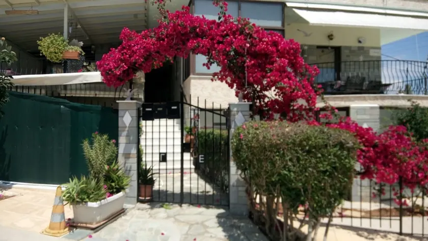Villa George - Honey Holidays (single space room) - Image 1