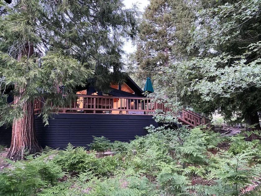 Mountain mod cabin w/ EV charging - Fernwood - Image 1