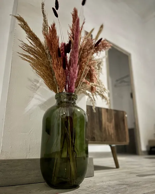 Tourist Accommodations El Carmen .- Apt. 3 - Image 1
