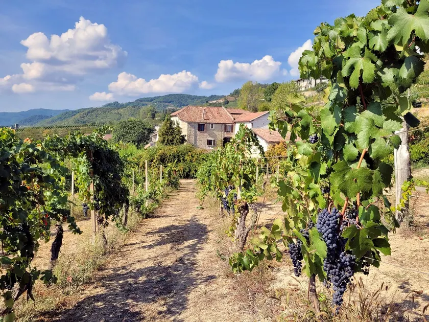 Appartamento Dolcetto in Cascina Marenco Langhe Country House - Image 1