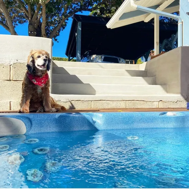 Adorable 1 bedroom with Hot Tub - Pet Friendly! - Image 1