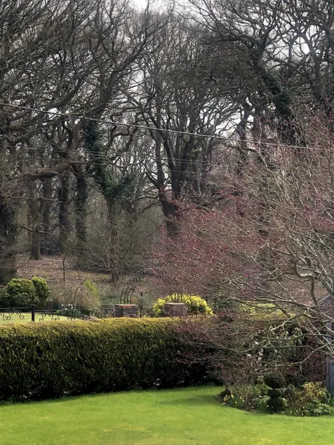 The Annexe - Image 1