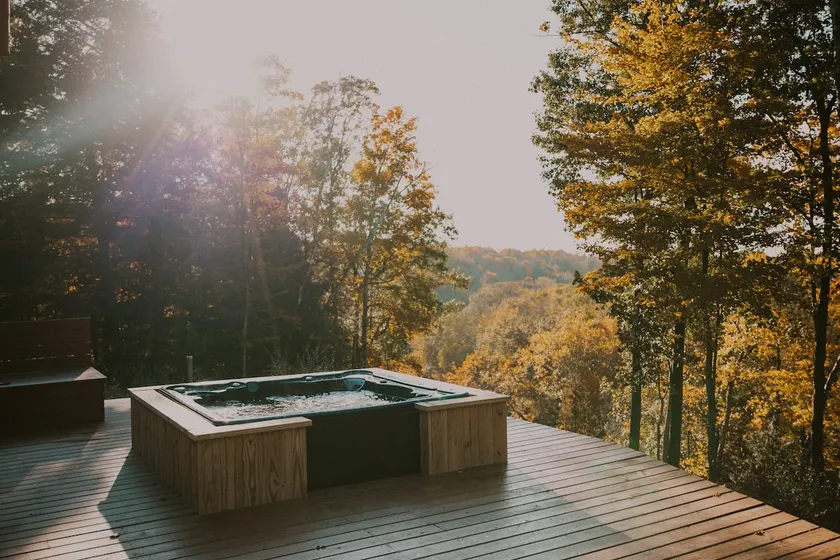 Secluded 4bdr cabin w/hot tub on the Muskegon River - Image 1