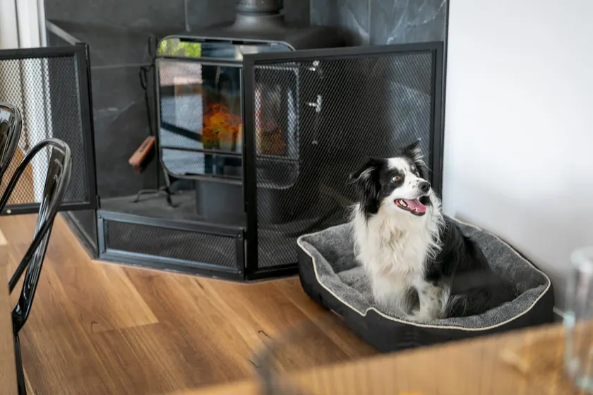 Pet Friendly | Wood Fireplace | Secure Garden - Image 1