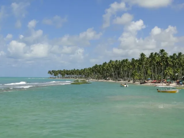 Carneiros Beach Brazil - Image 1