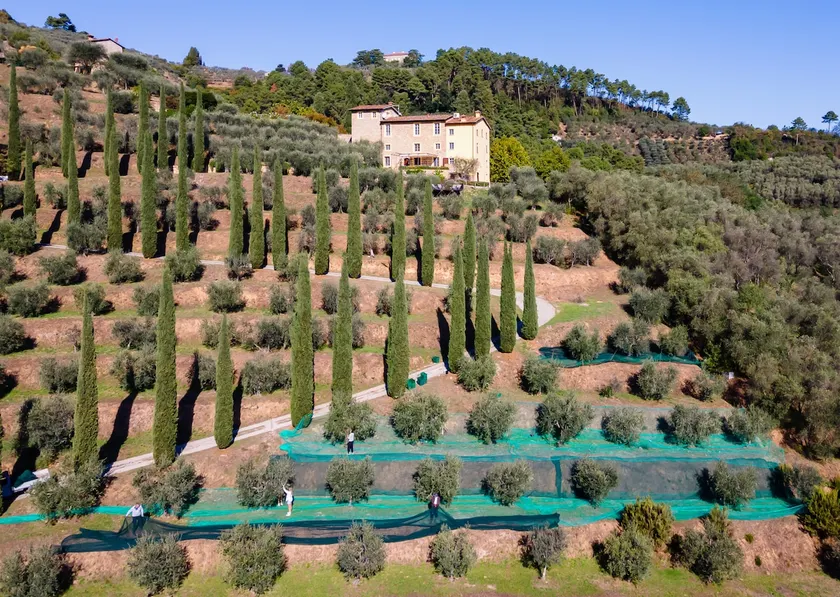 The Frantoio, luxury villa near Lucca/Florence - Image 1