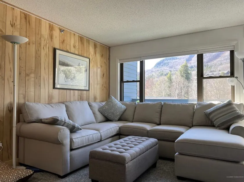 Cozy 1 br 1st flr condo w ski in/out, pool/hot tub - Image 1