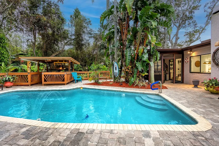 Paradise palms oasis Clearwater - Image 1