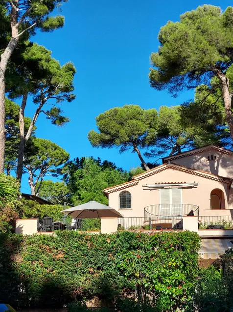 Sun, sea, pine and pool retreat in Antibes - Image 1