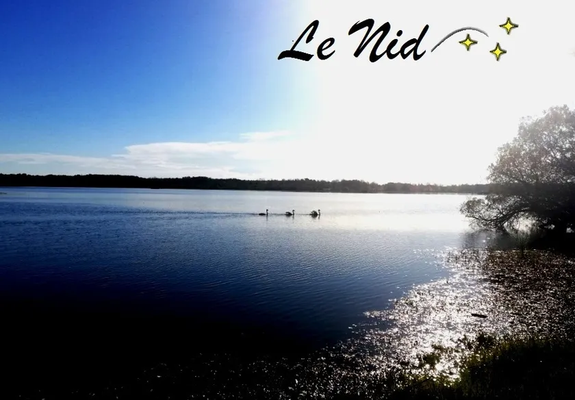 The Nest of the Lake - Image 1