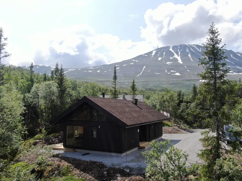 New family cottage Gausta - Ski in/out - 11 beds - Image 1