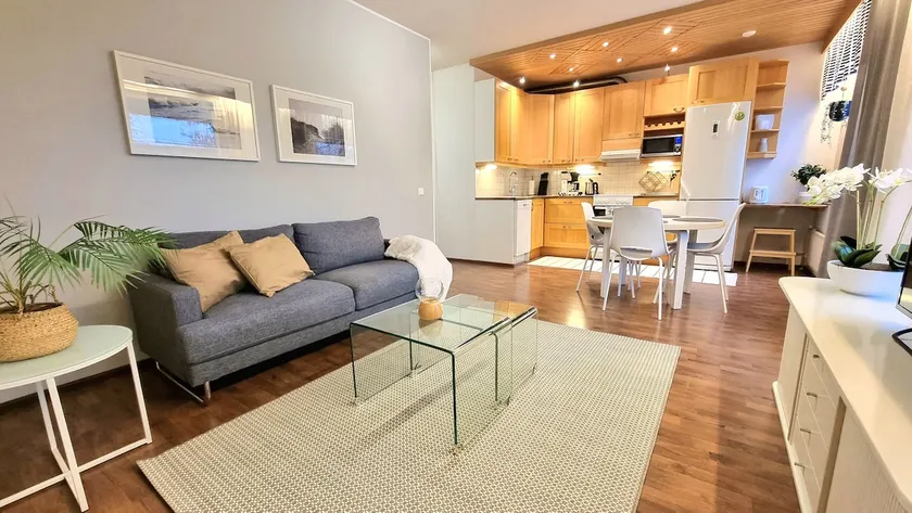 Cozy and comfortable two-room apartment in the city center - Image 1