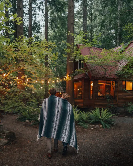 Wild Lily Cabin Retreat - Image 1
